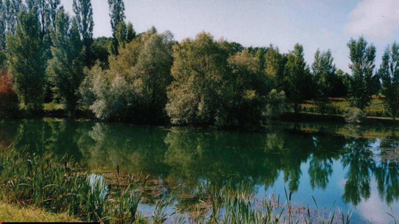 La Decouverte, Jacuzzi, Sauna, Et Terrasse Avec Vue Sur Lac A La Campagne Entre Toulouse Et Auch Catonvielle Exterior photo