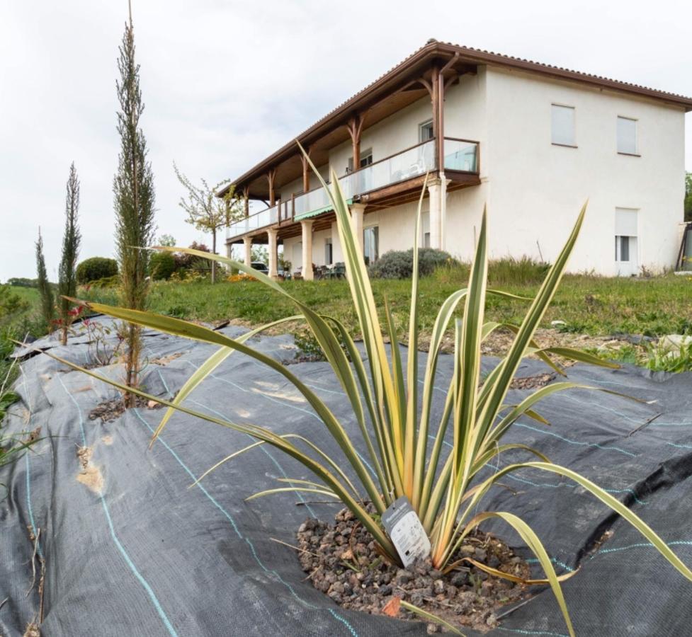 La Decouverte, Jacuzzi, Sauna, Et Terrasse Avec Vue Sur Lac A La Campagne Entre Toulouse Et Auch Catonvielle Exterior photo